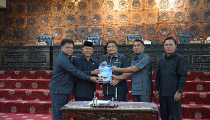 Klaim Ekonomi “Menakjubkan” Merangin Dipertanyakan, Dinilai Sarat Pencitraan