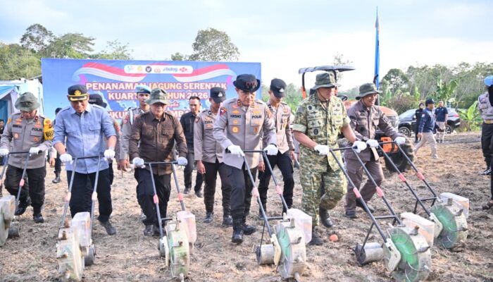 Dukung Ketahanan Pangan Nasional, Polda Jambi Gelar Tanam Jagung Raya Serentak Kuartal I Tahun 2026