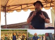 Hilirisasi Pertanian Digagas Bupati Merangin, Warganet Sentil: Gaji PPPK Masih Tertunggak