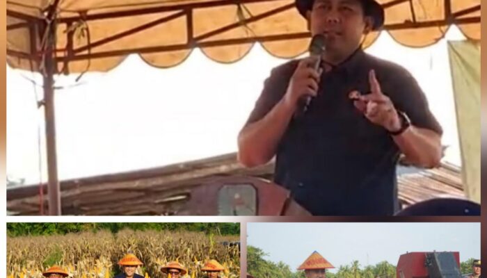 Hilirisasi Pertanian Digagas Bupati Merangin, Warganet Sentil: Gaji PPPK Masih Tertunggak