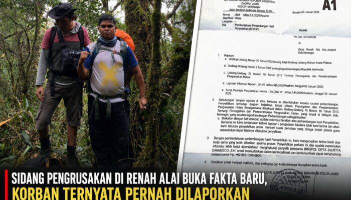 Sidang Pengrusakan di Renah Alai Buka Fakta Baru, Korban Ternyata Pernah Dilaporkan soal Perambahan TNKS